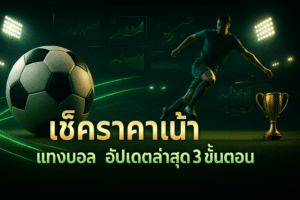 เช็คราคาน้ำ แทงบอล